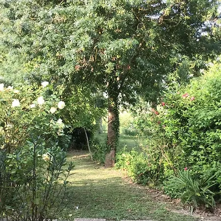 Le Gite De Gascogne Lectoure Exterior foto